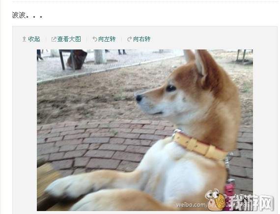 ����ͼƬ1���鷢��ǰ.jpg