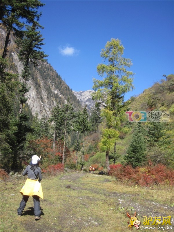 �߲ع�.jpg097.jpg