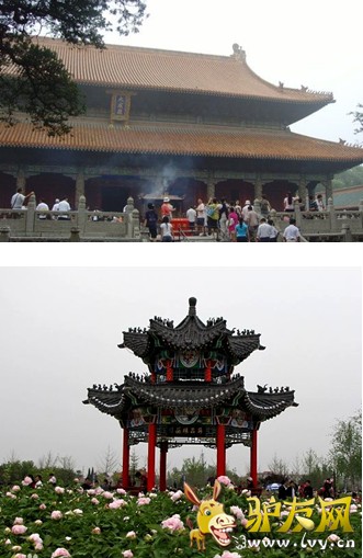 山东.jpg