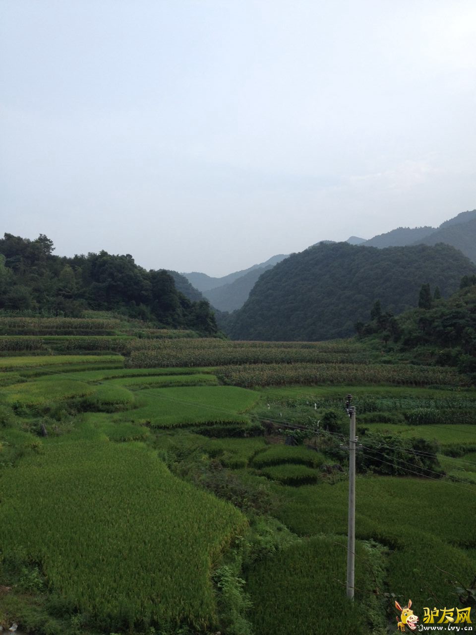 25cdc88fa1c82f44e7cc58bc13aeed73露水岩.jpg