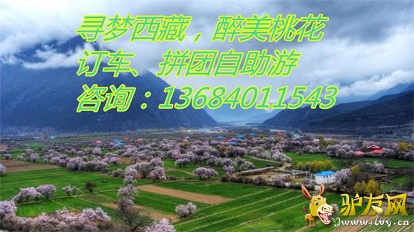 111_����.jpg
