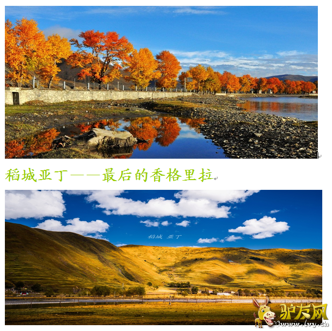 QQ��ͼ20160402115607.png